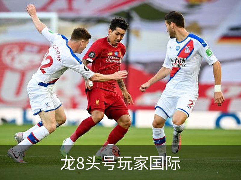 关于龙8头号玩家国际